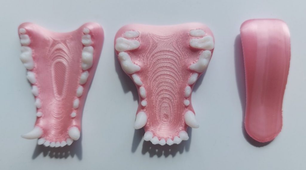 3D Printed Dog jaws to use in your creative art work BearCrafty